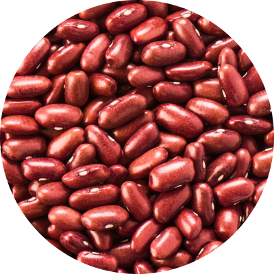Feijão Vermelho Cavalo - Dark Red